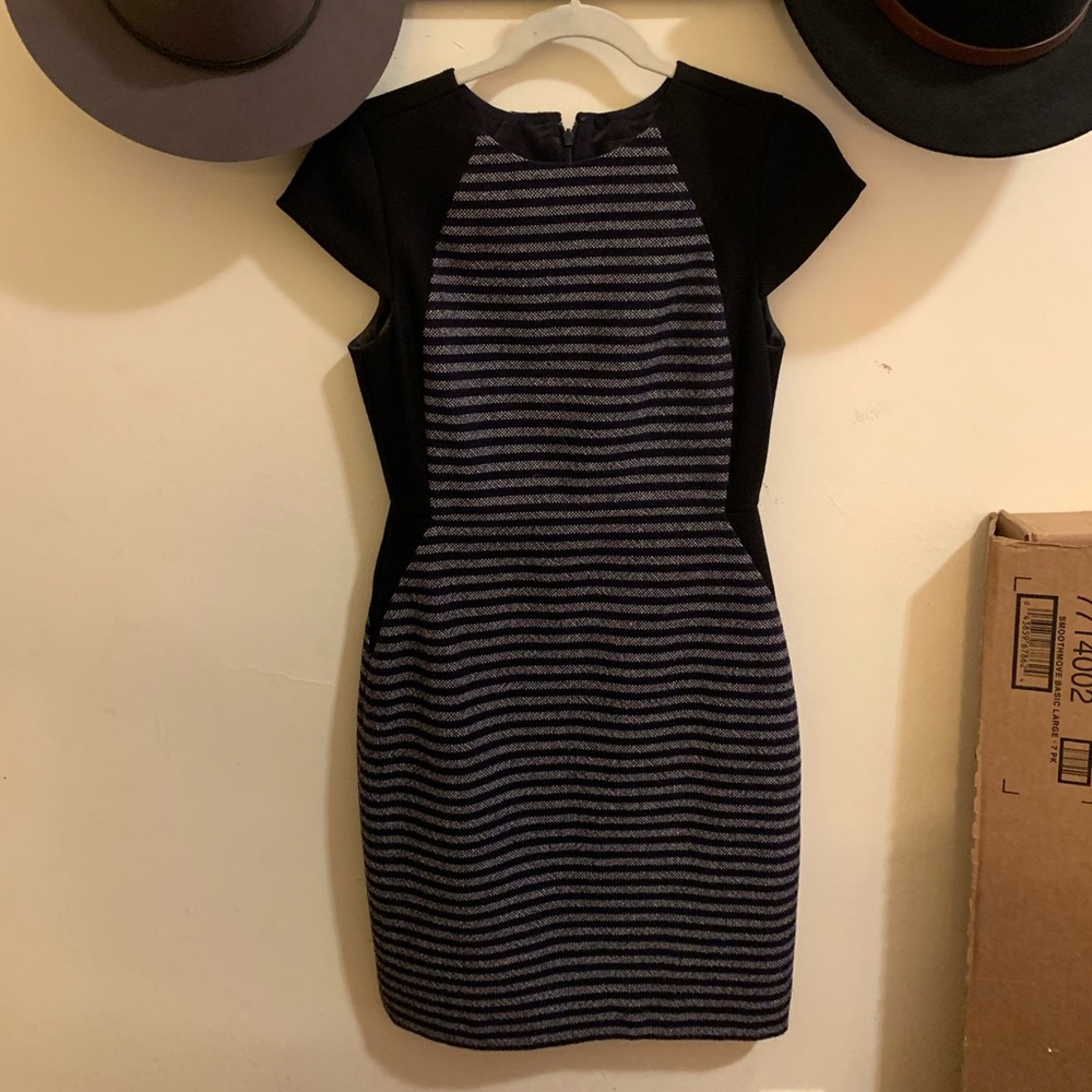 Navy J Crew Stripe Dress
